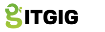 ITGig Business Consulting Logo